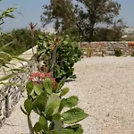 Olives Rocks Naxian Villas, By Naxosvibe Villa