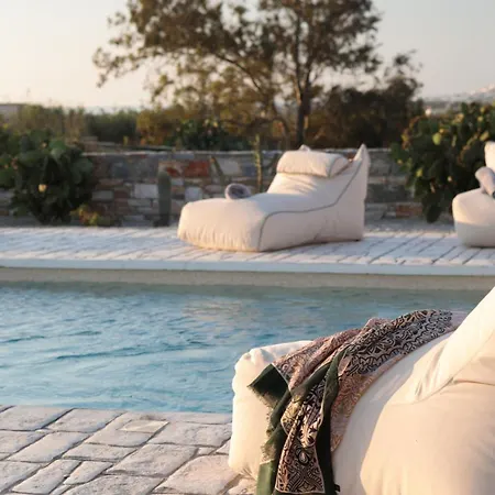 Villa Olives&rocks Naxian *