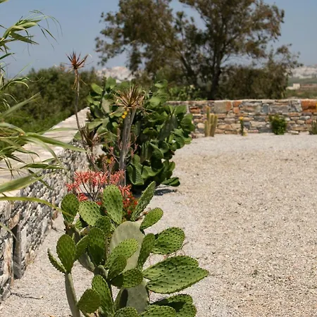 Olives Rocks Naxian Villa