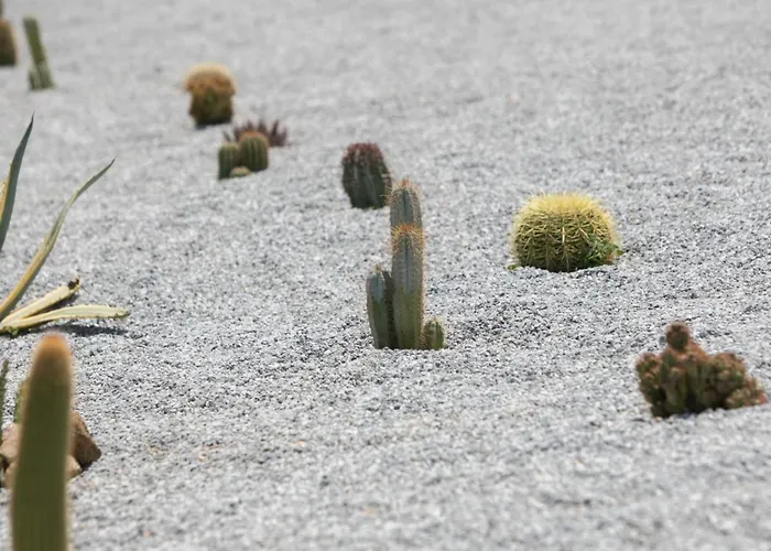 Villa Olives Rocks Naxian Villas, By Naxosvibe